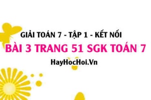 Giải bài 3 trang 51 Toán 7 Tập 1 SGK Cánh Diều